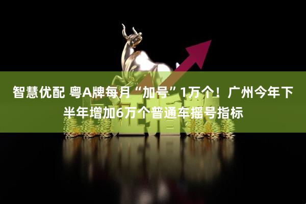 智慧优配 粤A牌每月“加号”1万个！广州今年下半年增加6万个普通车摇号指标