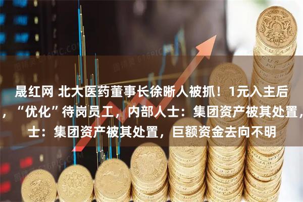 晟红网 北大医药董事长徐晰人被抓！1元入主后进行“人事大清洗”，“优化”待岗员工，内部人士：集团资产被其处置，巨额资金去向不明