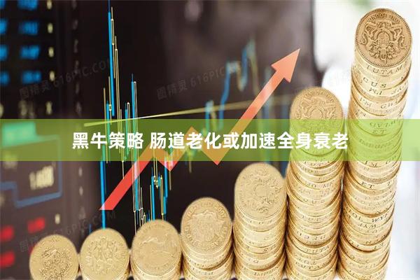 黑牛策略 肠道老化或加速全身衰老