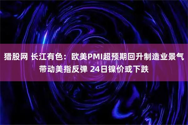 猎股网 长江有色：欧美PMI超预期回升制造业景气带动美指反弹 24日镍价或下跌